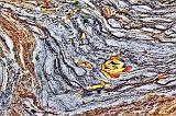 Scum & Autumn Leaves_28265